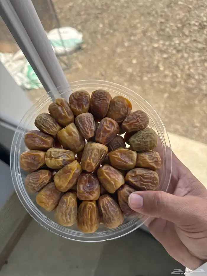 مفتل معلب جاهز للتخزين ( جملة ) 2