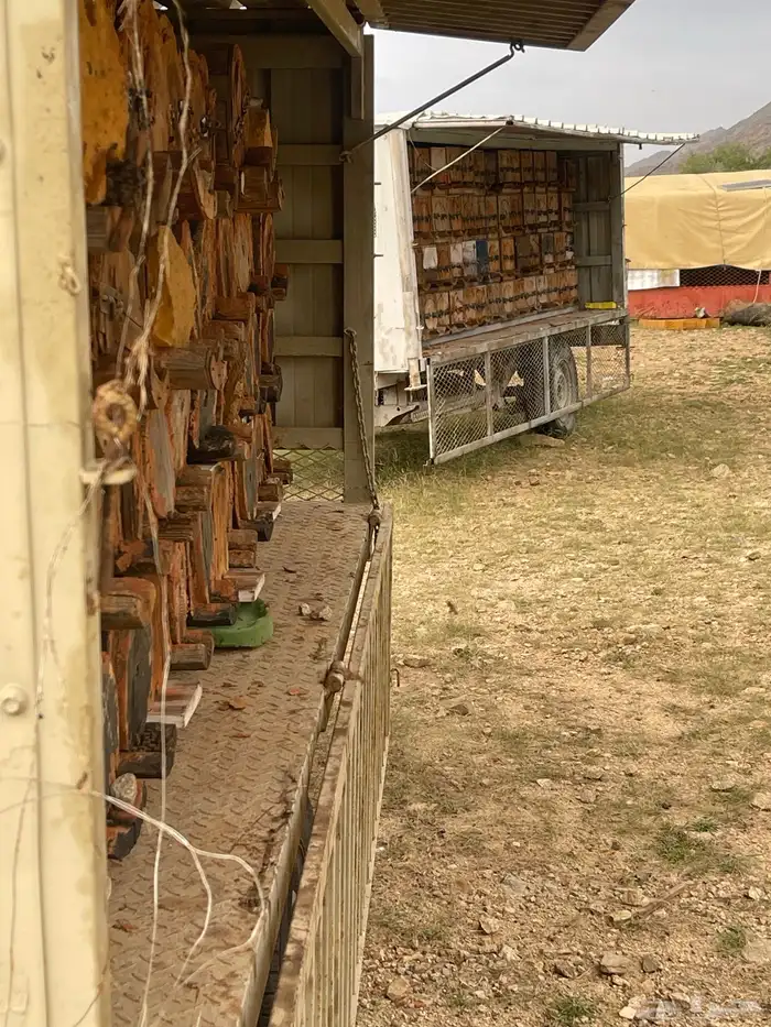 عسل جبلي صافي جديد من منحلي شخصيا 12