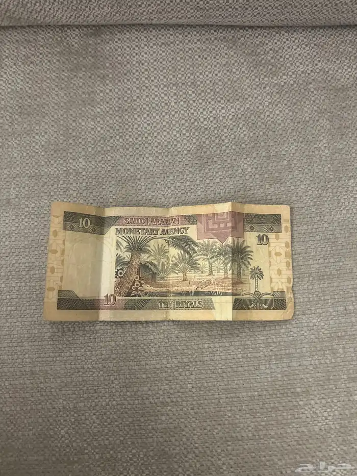 10 ملك فهد بحاله سليمه علا السوم الصامل ما اوصل تجي تاخذ 1