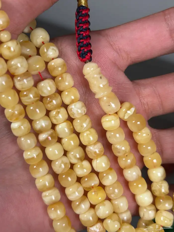 مسباح كهرب كالنقرادي 1