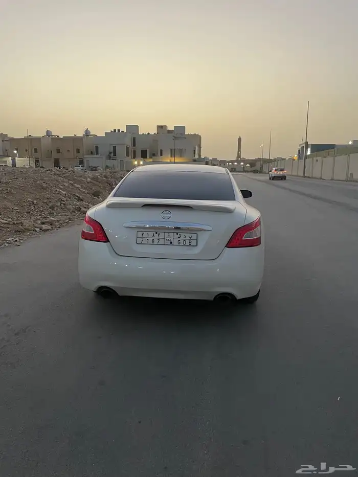 مكسيما للبيع 2010 6