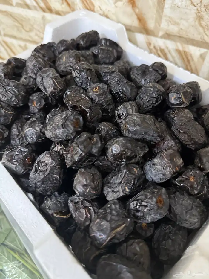 عجوة المدينة 0
