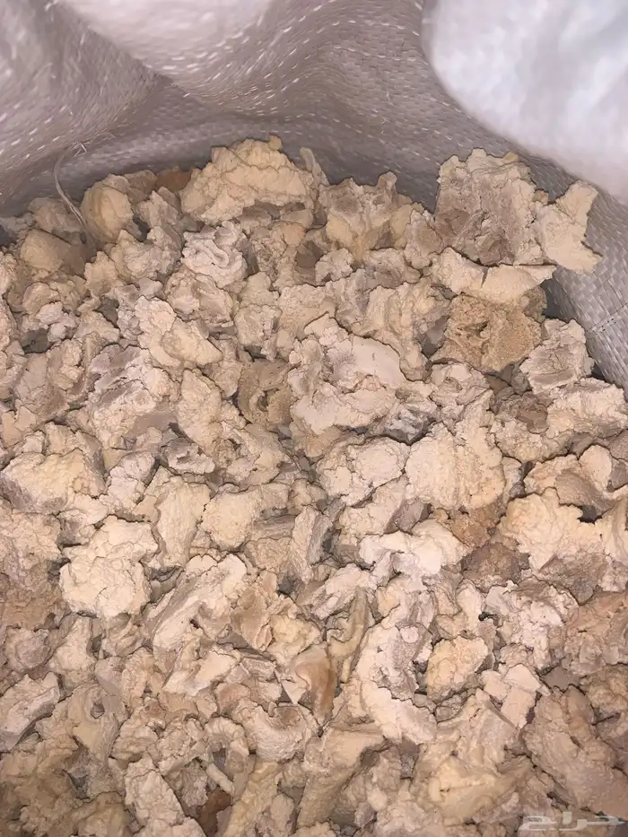 مريس على الشرط وذمه وضمير الشغل ونضافه وبينا وبينك الله 1
