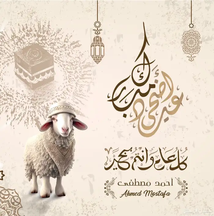 مصمم  جرافيك خبرة 15 عام منتجات -سوشيال ميديا- طباعة- لوحات 94