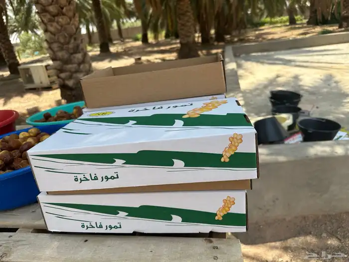 تمر سكري فاخر 7