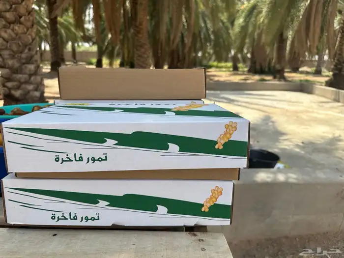 تمر سكري فاخر 6