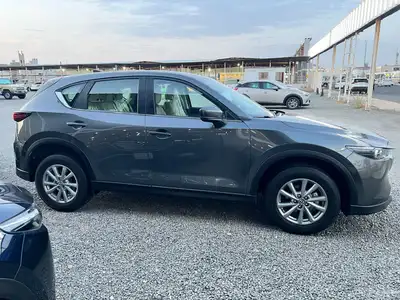 Cx5 2024 index