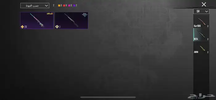 حساب ببجي للبيع 19