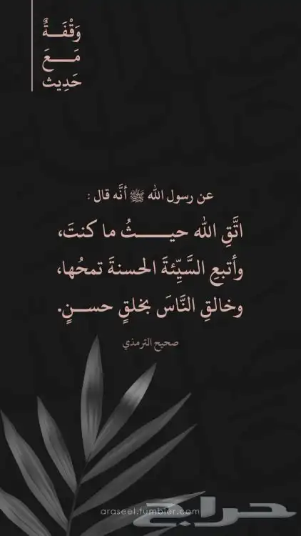 مؤسسة لوجستية للتقبيل 0