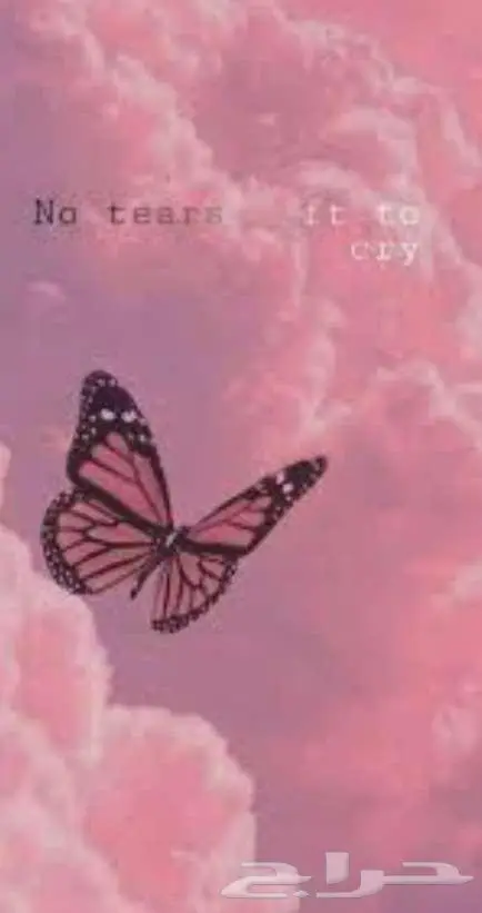 كتابة خطابات ومعارض 0