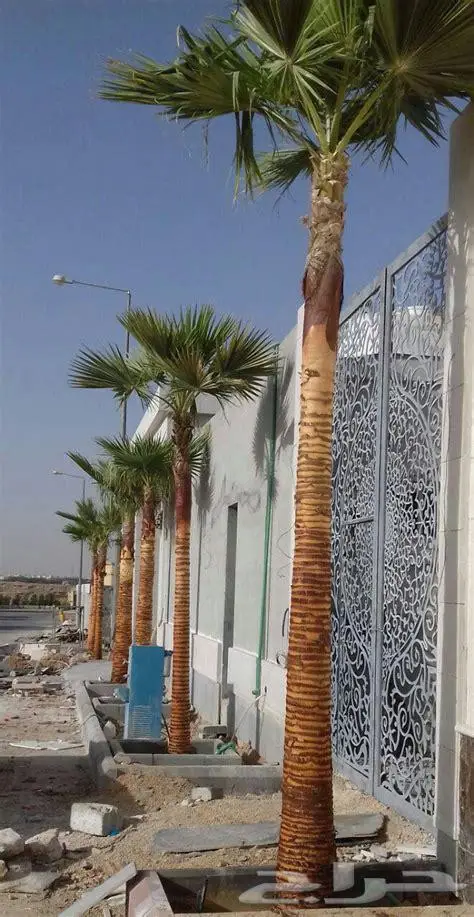 مشتل زراعي متخصص في تنسيق الحدائق 9