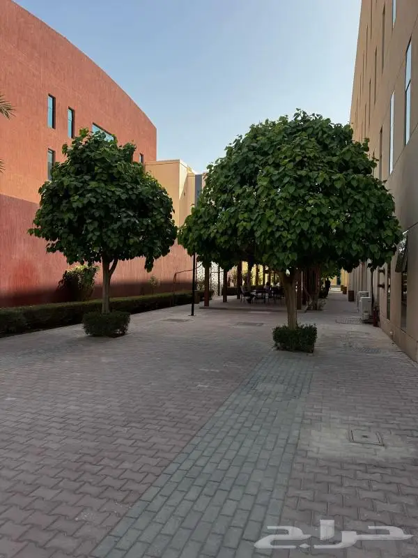 مشتل زراعي متخصص في تنسيق الحدائق 4