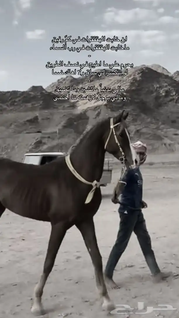 حصان شعبي 1