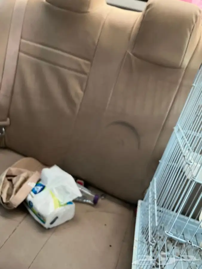 طير كاسكو اليف حبيب العمر قريب من سنتين البيع سمح ح 2
