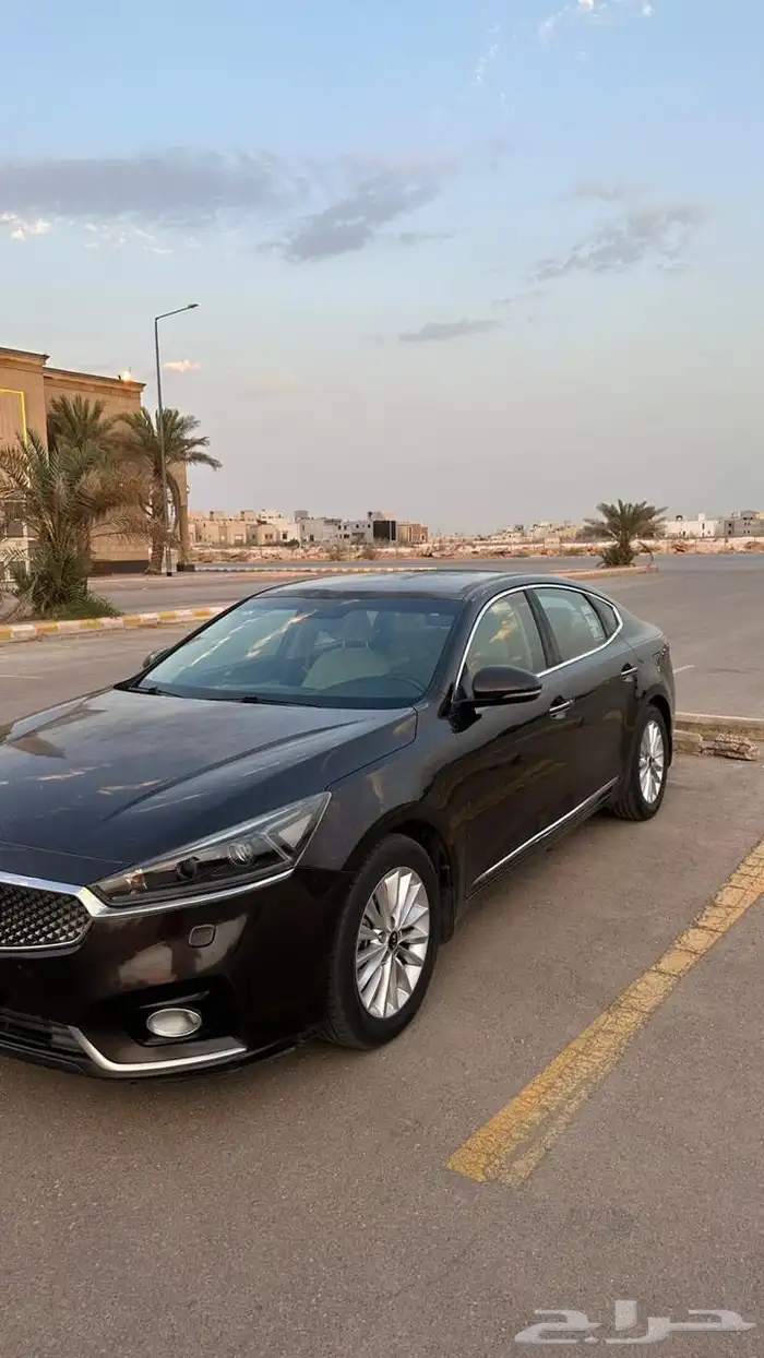 كادينزا 4