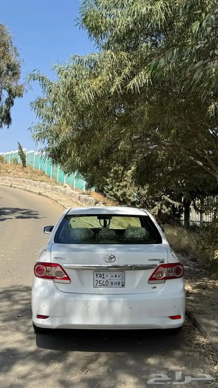 كوريلا 2013 4