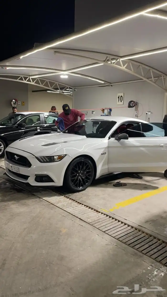 موستنق GT V8 5.0 2015 1
