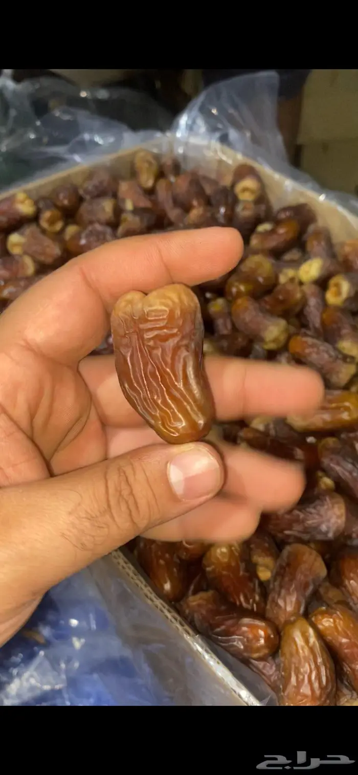 برني العيص الملكي جوده عاليه 1