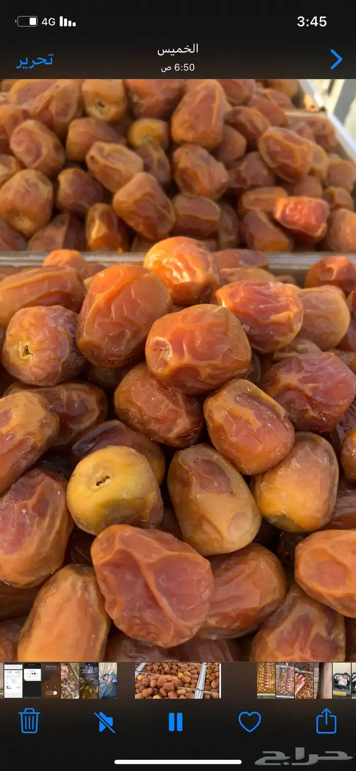 تمور القصيم الفاخره 2