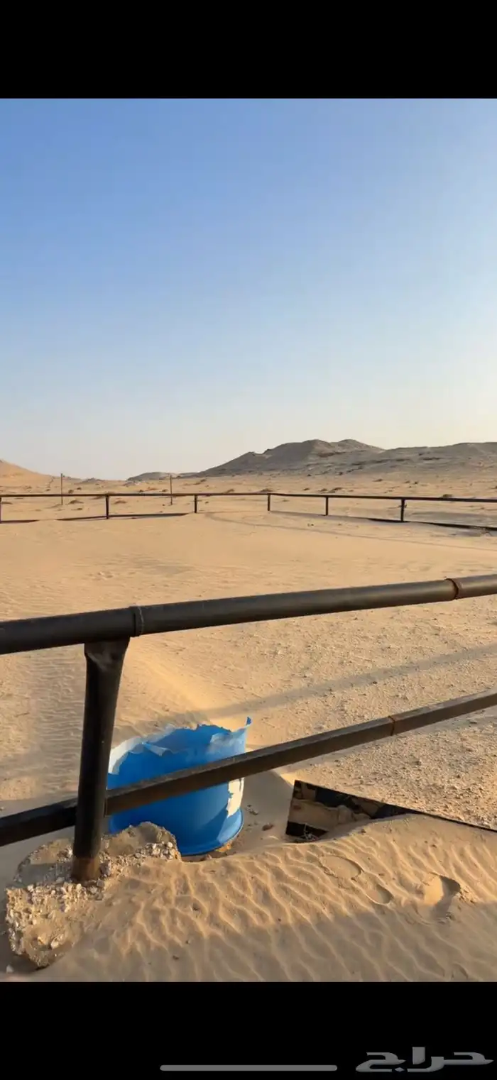 بادوك خيل كبير 0