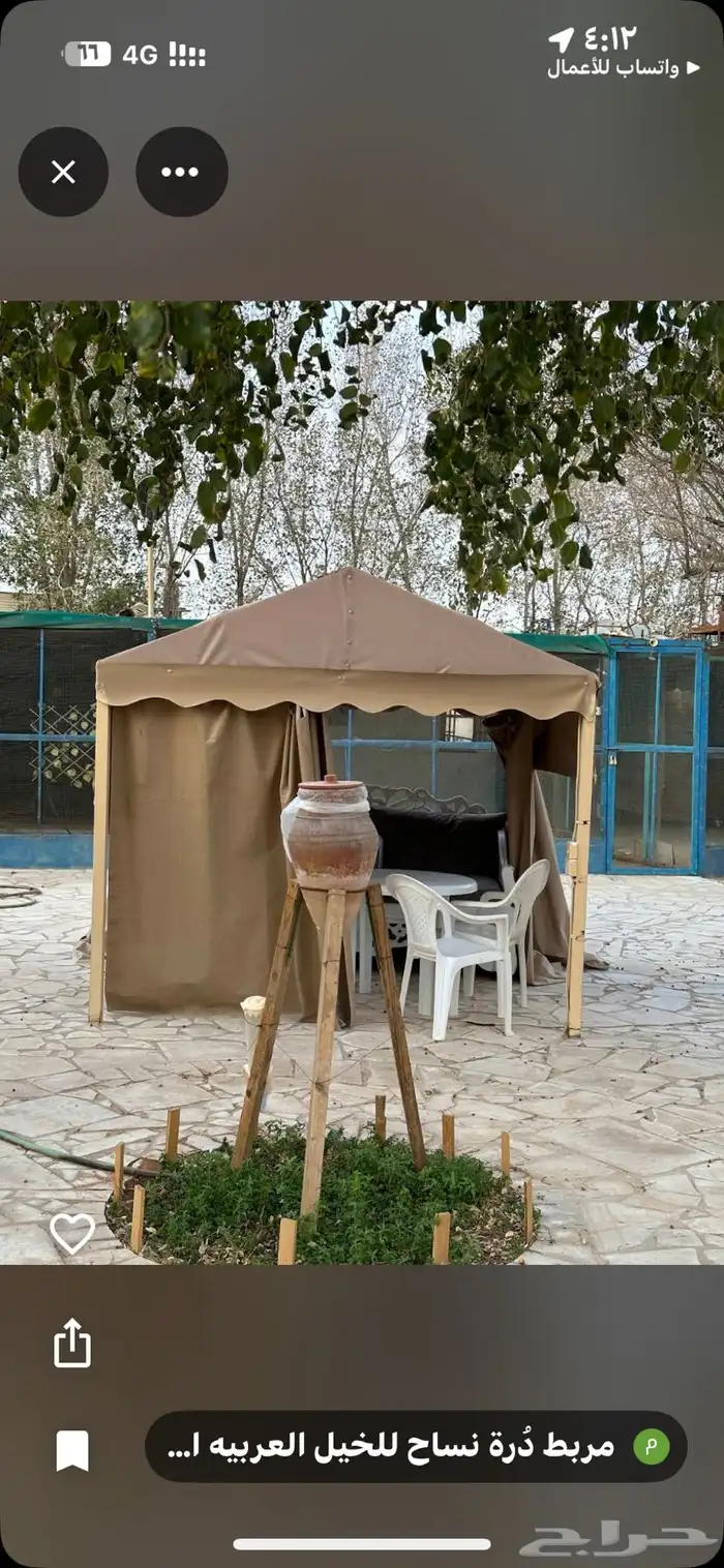 مربط اسطبل درة نساح للخيل العربيه غرب الرياض 1