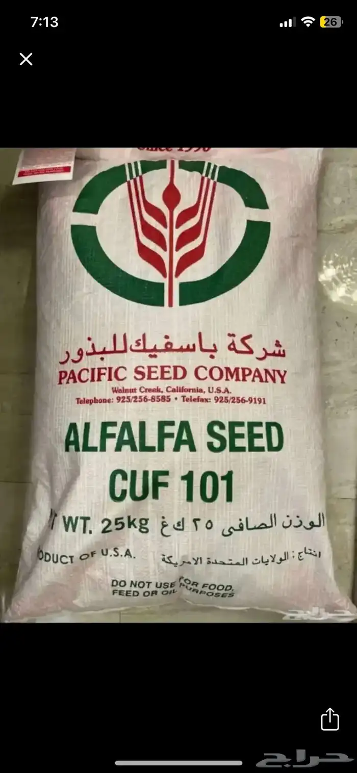 بذور برسيم ( باسفيك ) الامريكي 0
