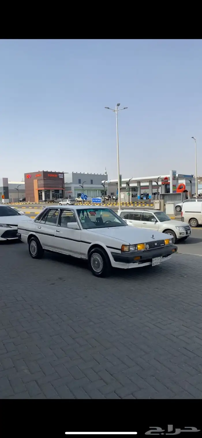 كرسيدا للبيع 1985 9