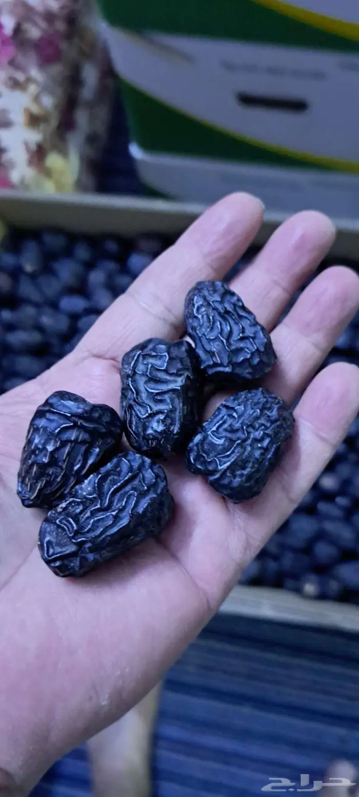 عجواء للبيع في المدينه خيبر 1