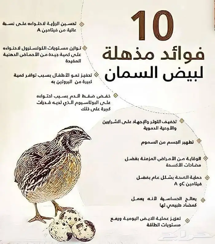 بيض سمان - فري 2