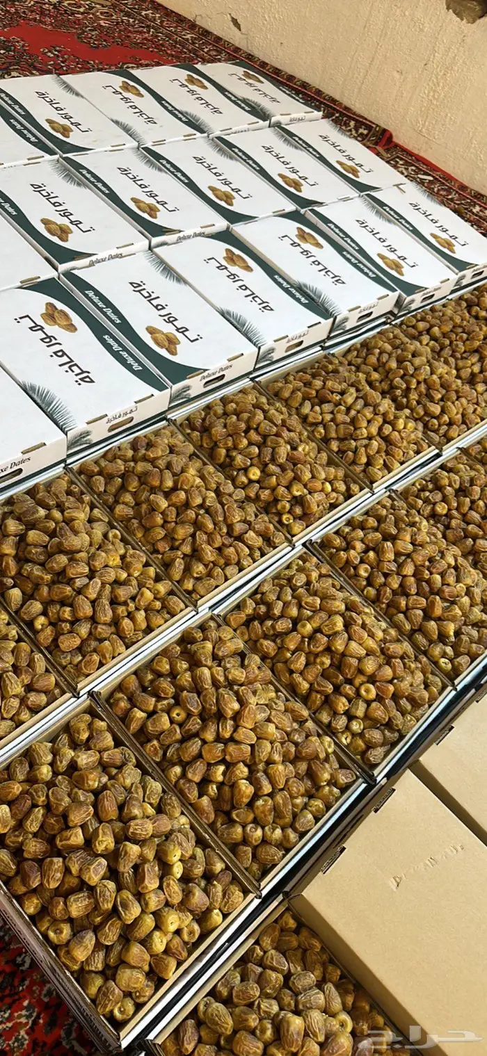 تمر سكري فاخر 1