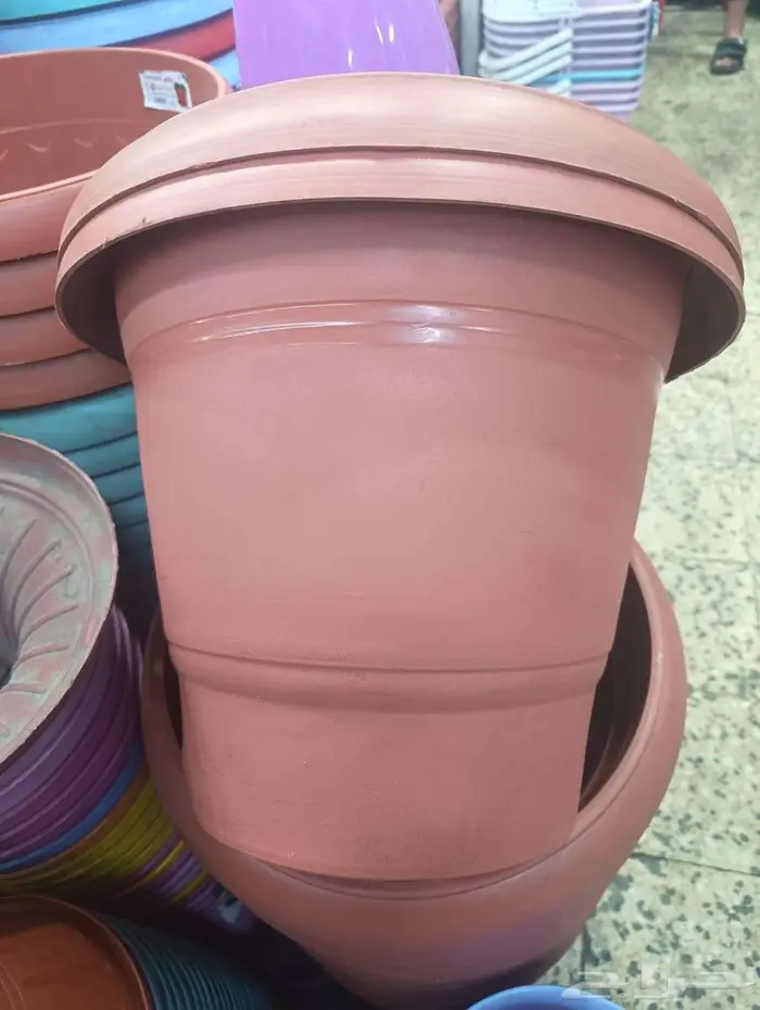 الرياض العريجاء 1