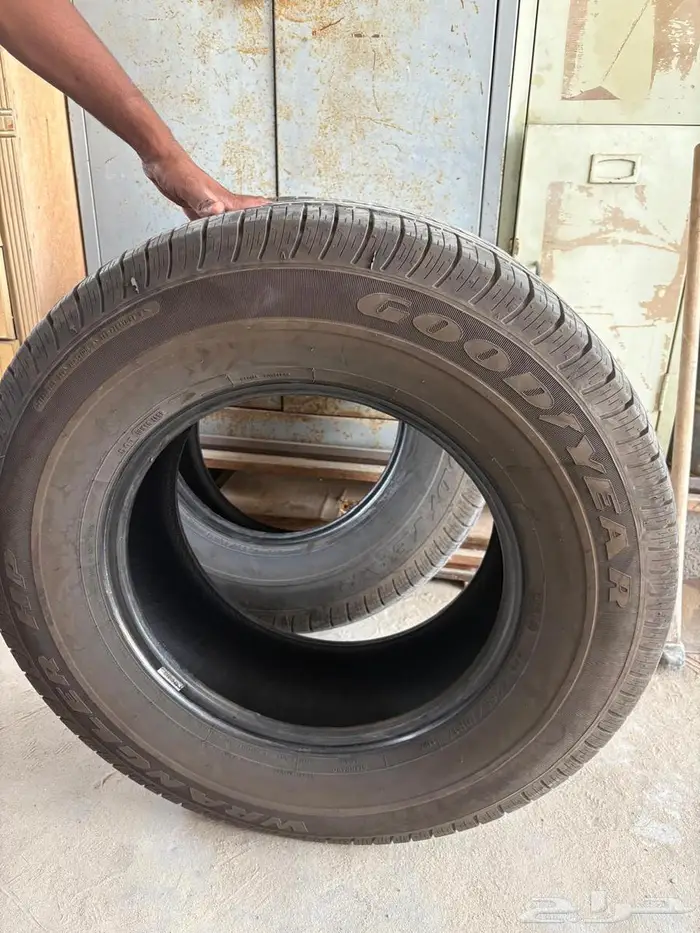 كفرين جودير سنة 2024 0