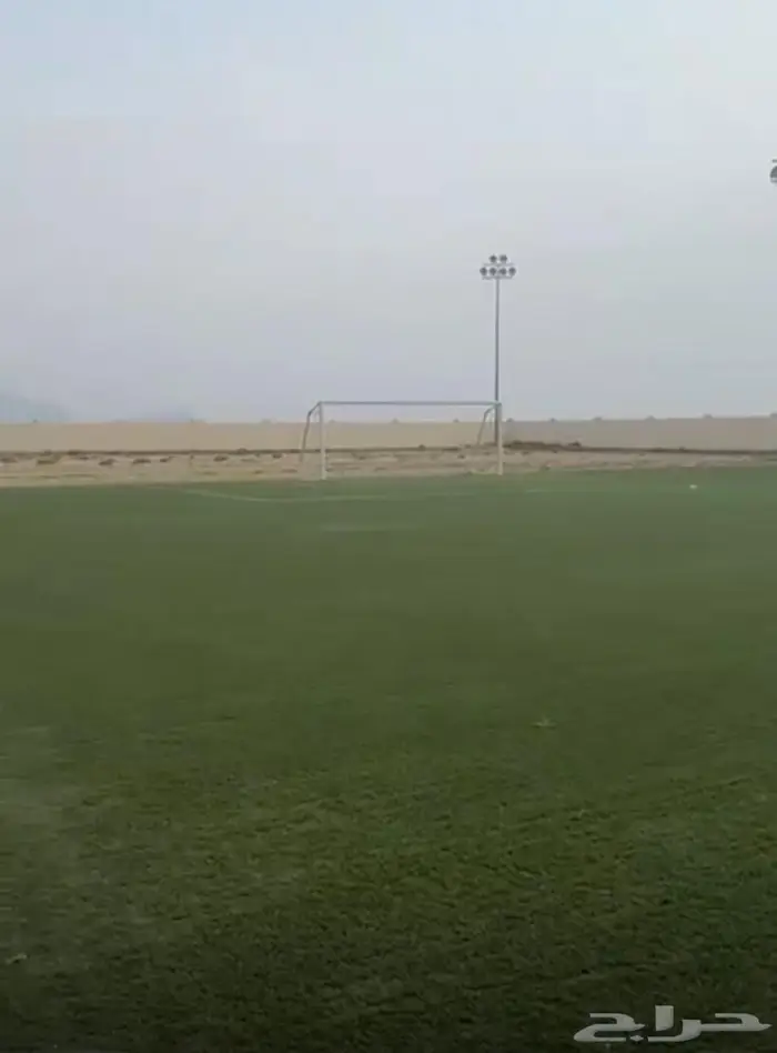 انجيلة صناعية انجيلة ملاعب 1