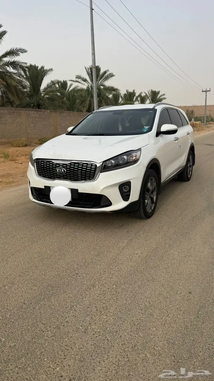 للبيع سورينتو ديزل 2019 0