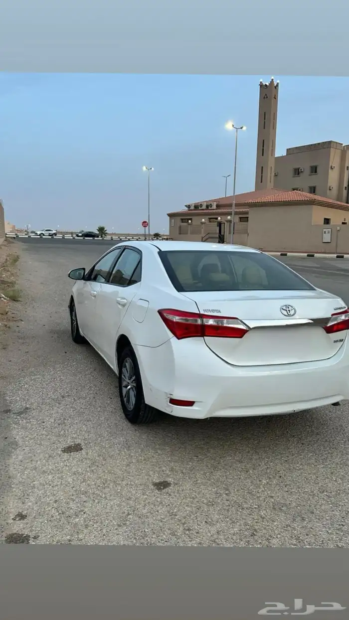 كورلاء 2015 1