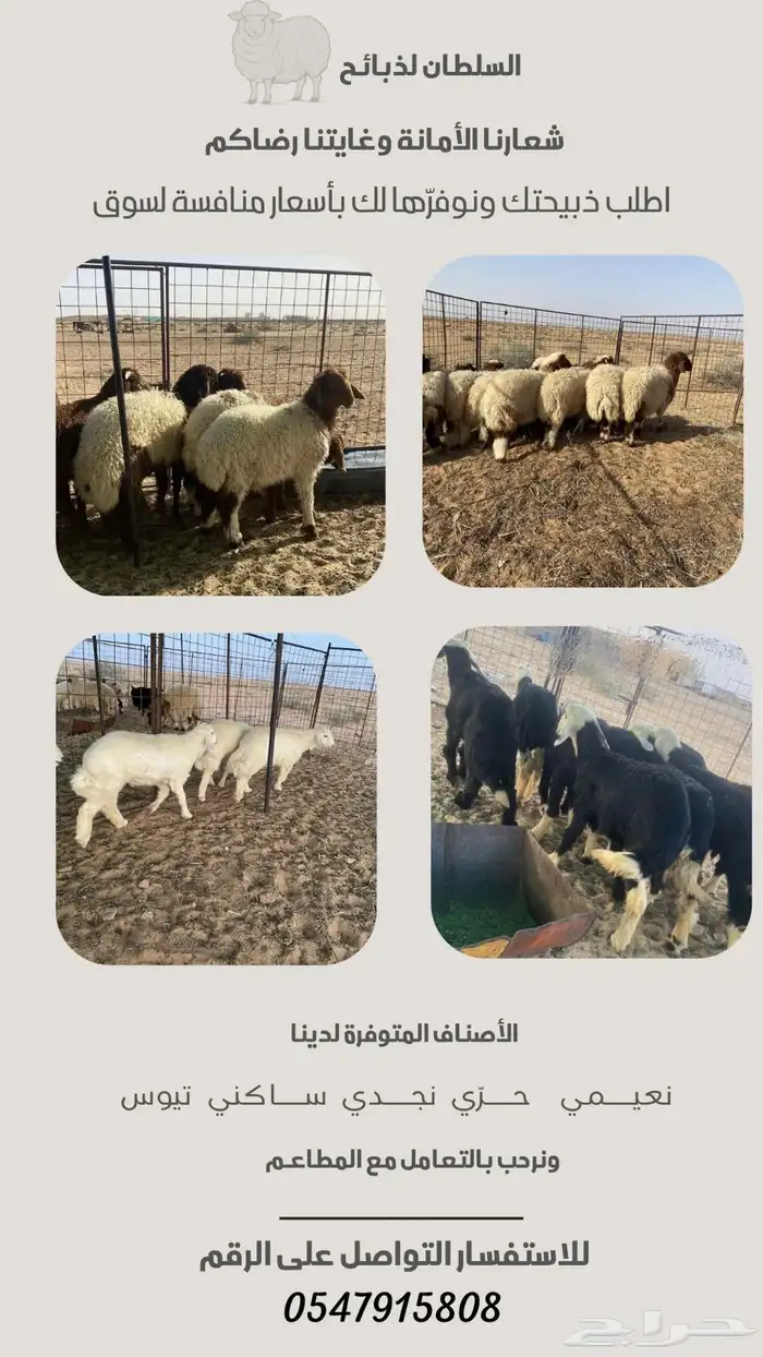 يتوفر لدينا ذبائح 0