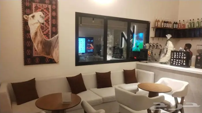 فرصة استثمارية لتقبيل 0