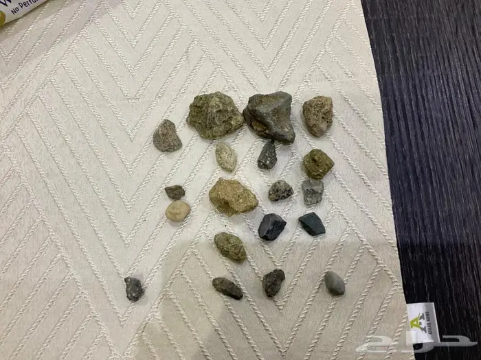 حجر اثري احتمال 40 بالمية وجود شيء نادر وفريد من نوعه 0