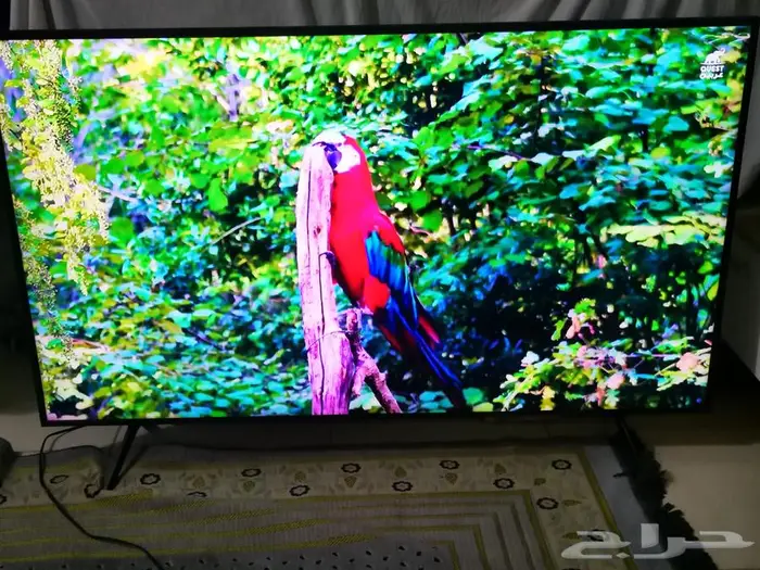 شاشه سامسونج سمارت 4K مقاس 55بوصه كيو لد 1