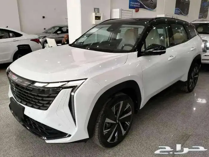 جيلي ستار راي 2024 جميع الفئات بأقل سعر كاش واقساط 0