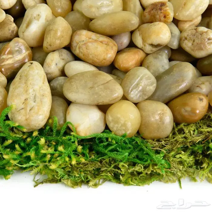 بحص نهري للحدأئق 1