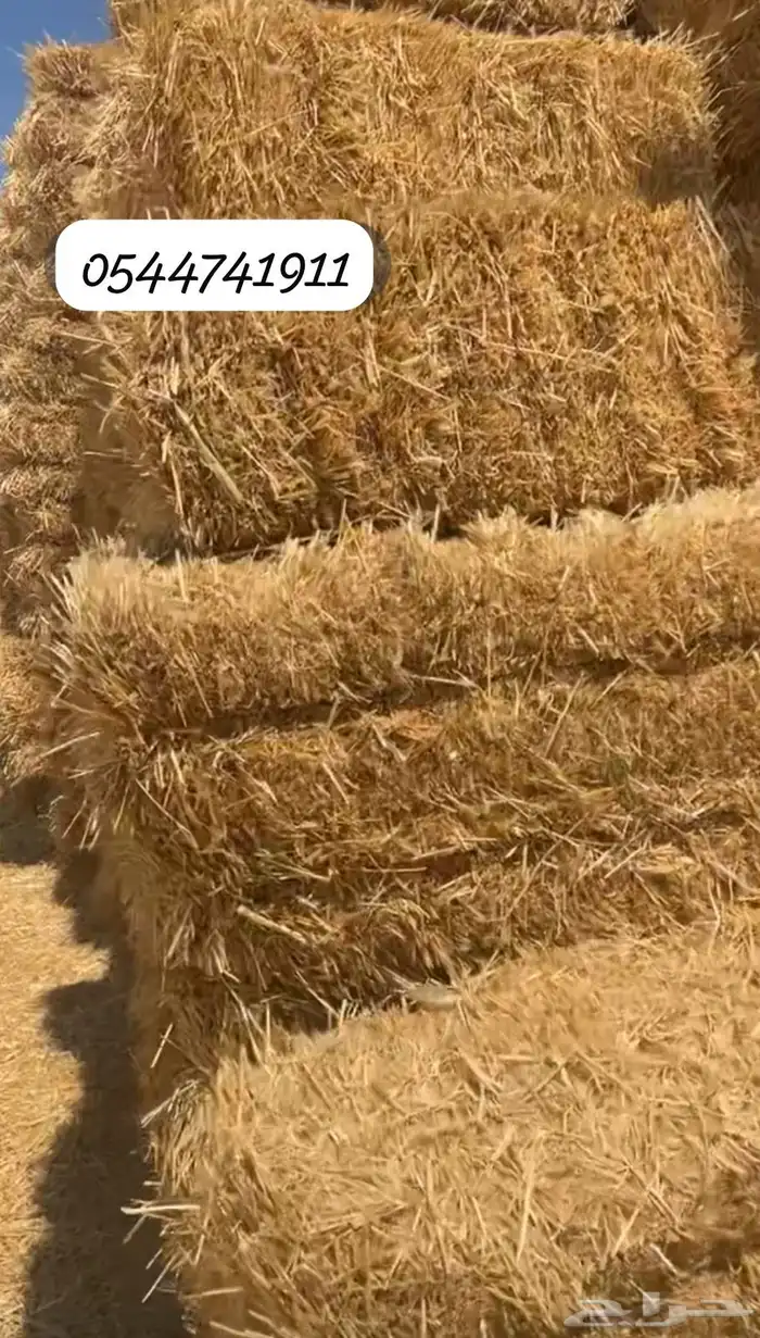 تبن بر جديد 0