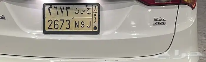 لوحة حسن للبيع 1