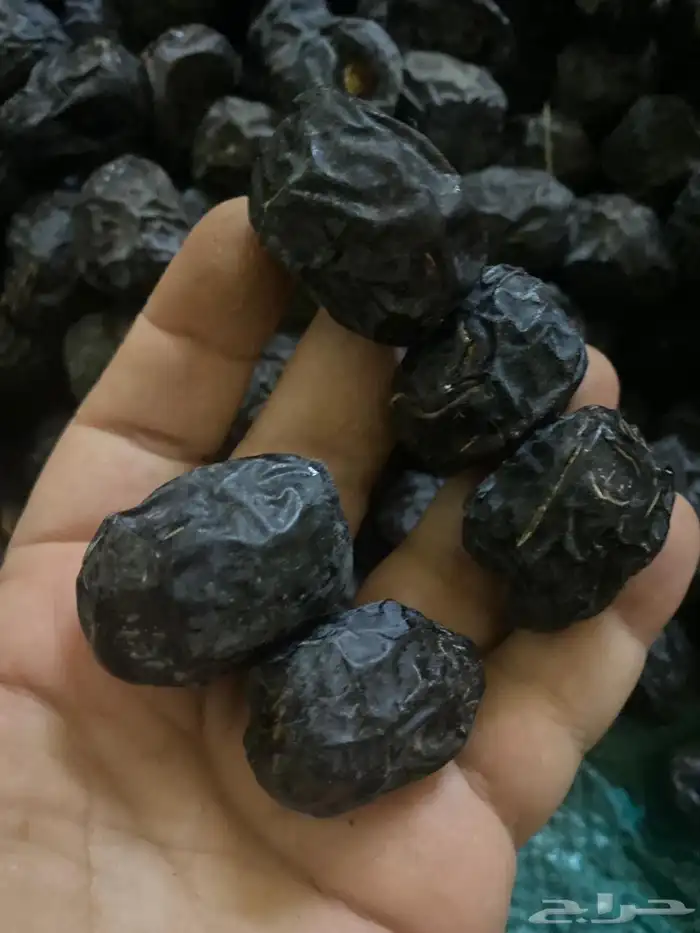 تمر عجوه المدينة فاخر وعنبرة وصفاوي وصقعي للبيع جملة 7