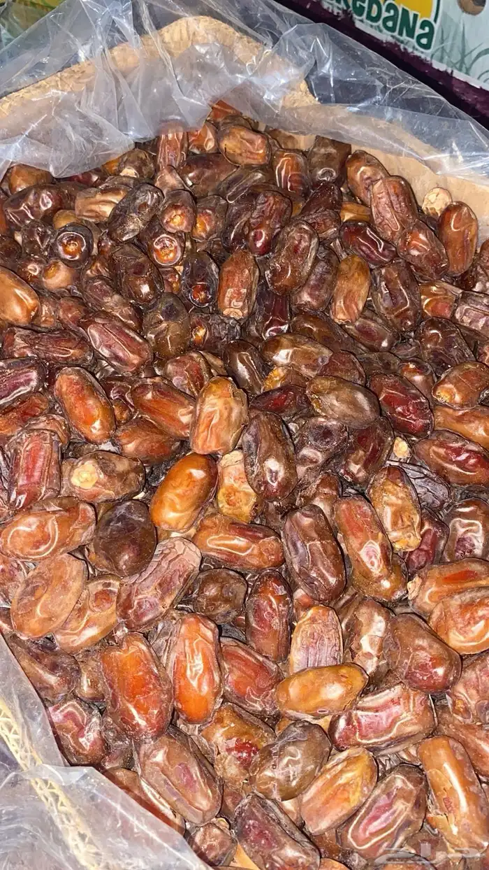 تمر سري انتاج هذا العام 1447 الافلاج 0