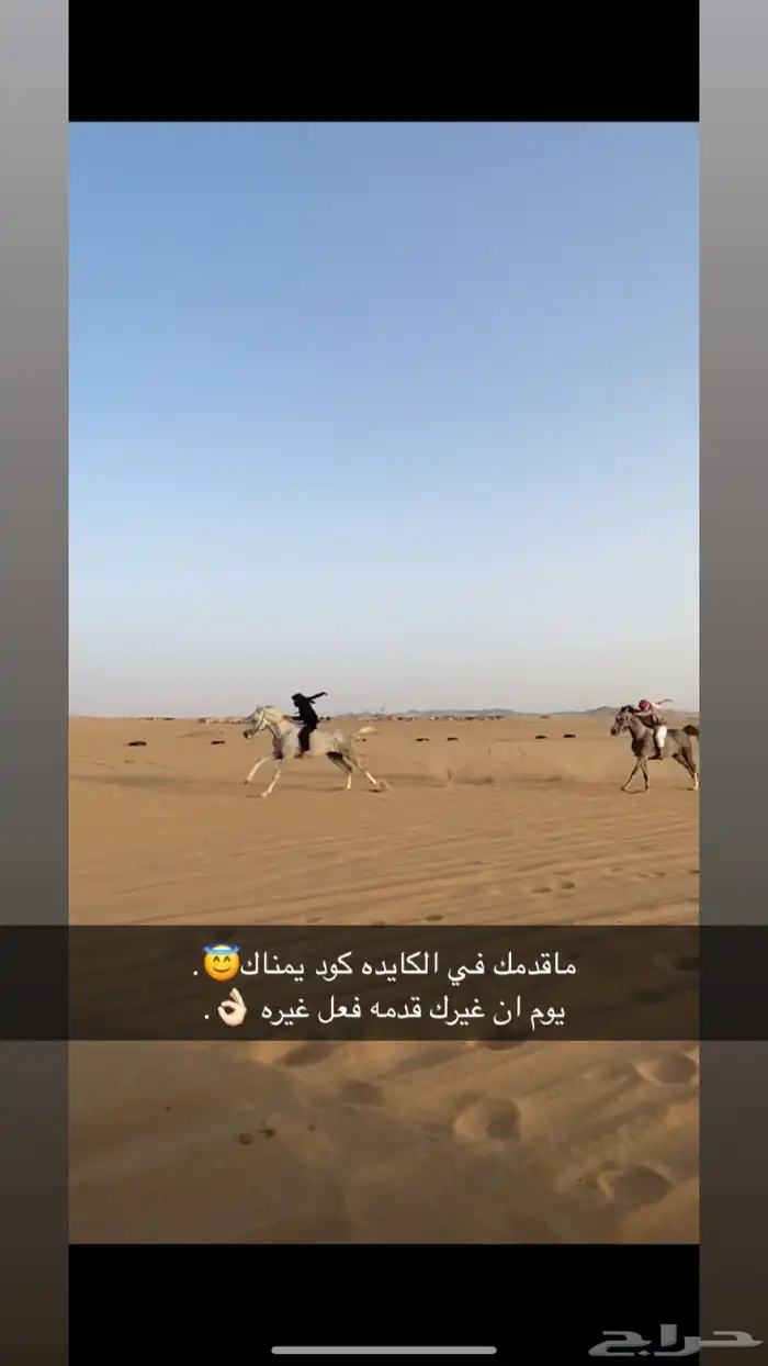 خيل 3
