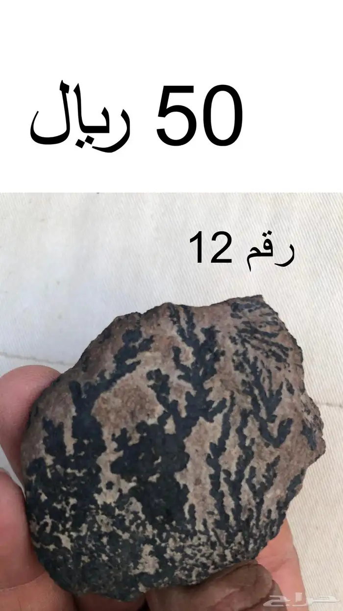 حجر طبيعي بأشكال مميزة ونقوشات طبيعية 100 11