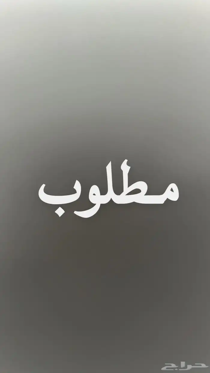 مطلوب شقة بسطح أو ملحق للإيجار 0