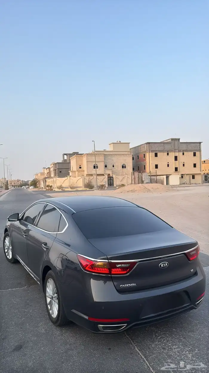كادينزا للبيع 1