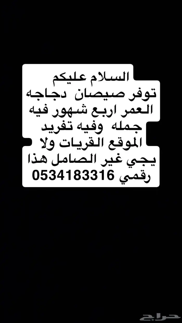 صيصان 0